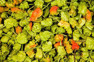 全新青春RPG《循环8 降神》 跳票至6月1日发售